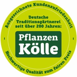 KÖLLE'S BESTE! Kölle's Beste Hundesnack Rinderstrossen-Stücke, 500 G Beutel -HundeSchmaus Verkäufe 28100106 3