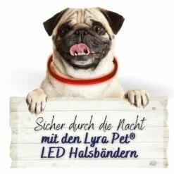 1 Stk. Lyra Pet® LED Halsband 70 Cm Rot -HundeSchmaus Verkäufe 28554171 3