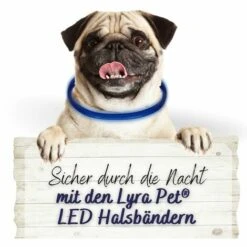 1 Stk. Lyra Pet® LED Halsband 70 Cm Blau -HundeSchmaus Verkäufe 28554172 3