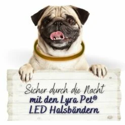 1 Stk. Lyra Pet® LED Halsband 70 Cm Orange -HundeSchmaus Verkäufe 28554174 3