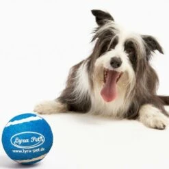1 Stk. Lyra Pet® Tennis Ball -HundeSchmaus Verkäufe 29984477 3