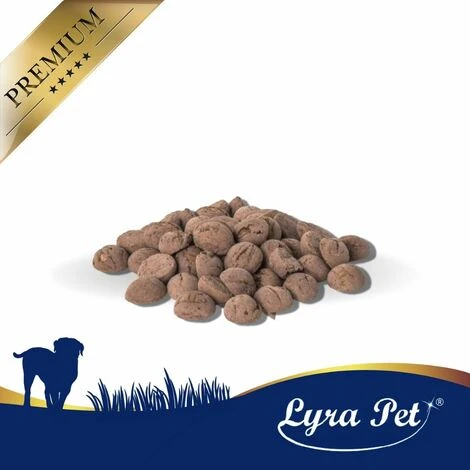 250 G Lyra Pet® Hundekekse Mit Pferd 2 250 G Lyra Pet® Hundekekse Mit Pferd – Bild 2
