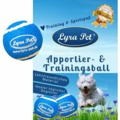 1 Stk. Lyra Pet® Apportier- Und Trainingsball