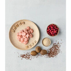 Dehner Best Nature Hundetrockenfutter Junior, Superfood, Huhn Mit Quinoa Und Preiselbeeren, 12 Kg -HundeSchmaus Verkäufe 43589258 3