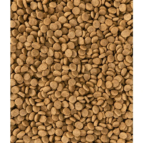 Dehner Hundetrockenfutter Senior, Knusper Mix Mit Geflügel, 12 Kg 2 Dehner Hundetrockenfutter Senior, Knusper Mix Mit Geflügel, 12 Kg – Bild 2