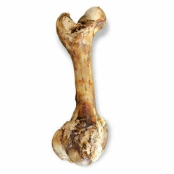 ANIMALLPARADISE Geräucherter Rinderknochen XXL 45 Cm Für Hunde -HundeSchmaus Verkäufe 52030894 4