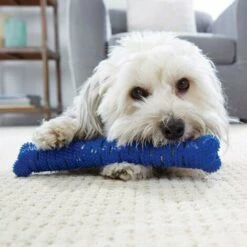 SHOPSTORY CHEWBRUSH: Der Anti-Kalk-Kauknochen Für Hunde -HundeSchmaus Verkäufe 54675238 3