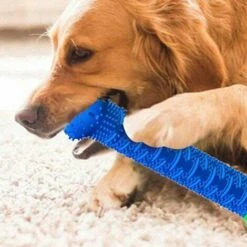 SHOPSTORY CHEWBRUSH: Der Anti-Kalk-Kauknochen Für Hunde -HundeSchmaus Verkäufe 54675238 4