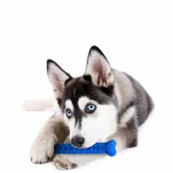 SHOPSTORY CHEWBRUSH: Der Anti-Kalk-Kauknochen Für Hunde -HundeSchmaus Verkäufe 54675238 5