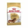 Essen, Royal Canin Dachshund Erwachsene Hunde Von Erwachsenen Und Maduro Teckel Race (ab 10 Monaten) - 1,5 Kg