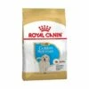 Essen, Royal Canin Golden Retriever Welpen (Junior) Welpen (bis Zu 15 Monate) - 12 Kg