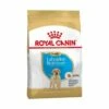 Essen, Royal Canin Labrador Retriever Welpen (Junior) Welpen (bis Zu 15 Monate) - 12 Kg
