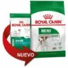 Essen, Royal Canin Mini Erwachsene Kleine Rassenhunde (ab 10 Monaten) - 2 Kg