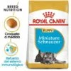 Essen, Royal Canin Miniatur Schnauzer Welpen (Junior) Welpen (bis Zu 10 Monate)