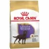 Royal Canin Labrador Retriever Sterilisiert FÙr Sterilisierte Arbeiter - 12 Kg