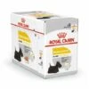 Royal Canin Dermacomfort -Beutel (Pat_) Hundefutter - 12x85 G
