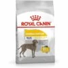 Royal Canin Maxi Dermacomfort 12 Kg