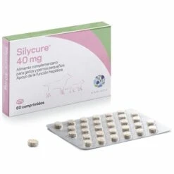 Karizoo Schutzerg_nzung Hephah Funktion